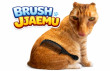 Brush Jjaemu img