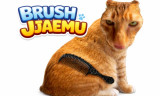 Brush Jjaemu background