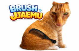 Brush Jjaemu img