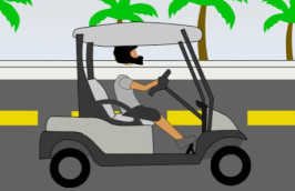 Soflo Wheelie Life img