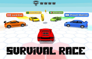 Survival Race img